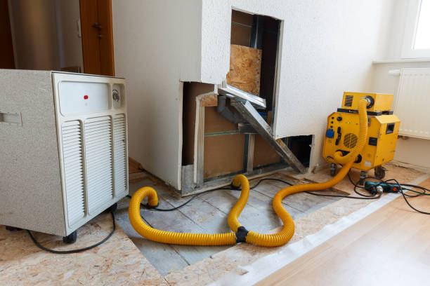 Best Mold Removal for HVAC Installations  in Russellton, PA